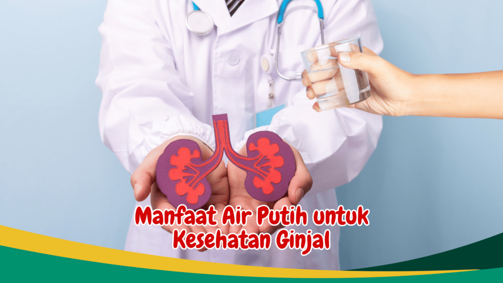 Manfaat Air Putih untuk Kesehatan Ginjal Manfaat Air Putih untuk Kesehatan Ginjal
