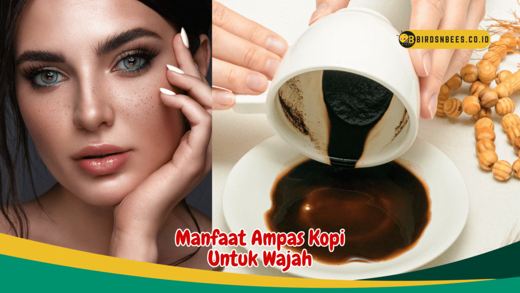 Manfaat Ampas Kopi Untuk Wajah Manfaat Ampas Kopi Untuk Wajah