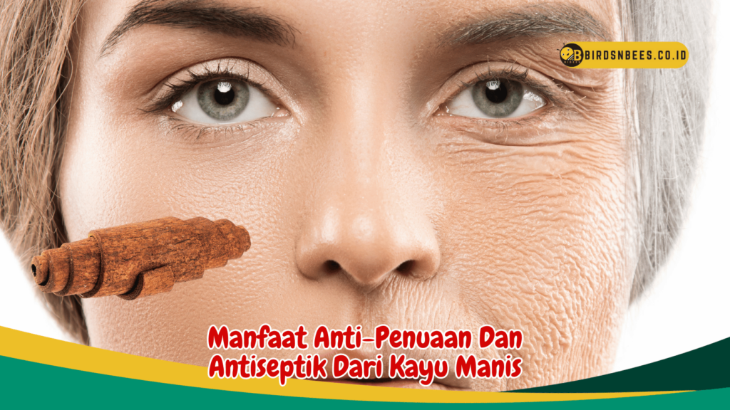 Manfaat Anti-Penuaan Dan Antiseptik Dari Kayu Manis Manfaat Anti-Penuaan Dan Antiseptik Dari Kayu Manis