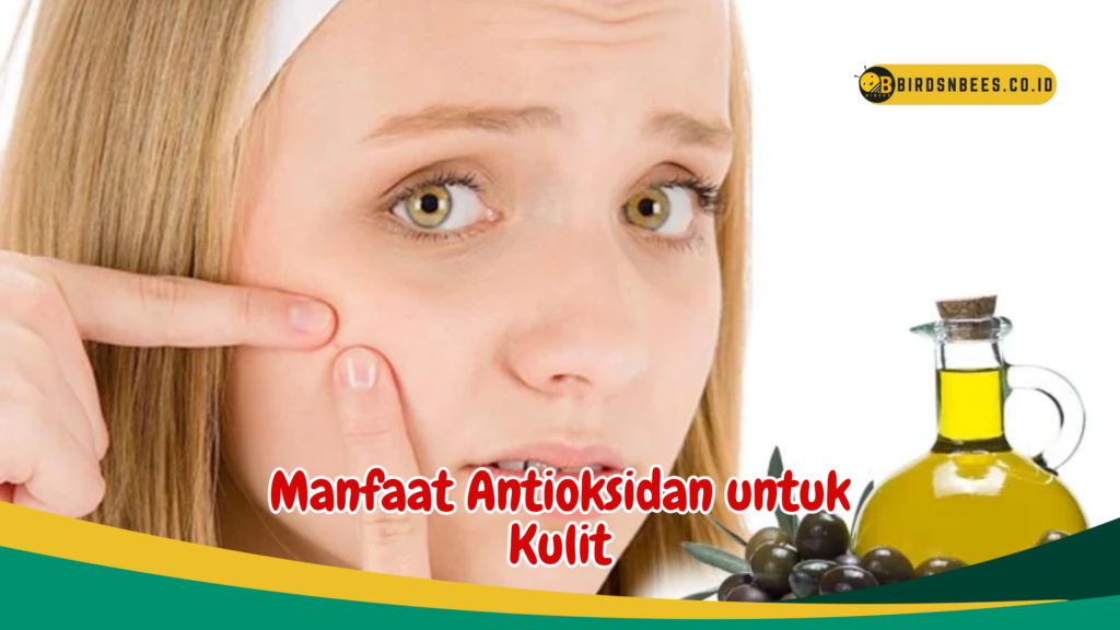 Manfaat Antioksidan untuk Kulit Manfaat Antioksidan untuk Kulit