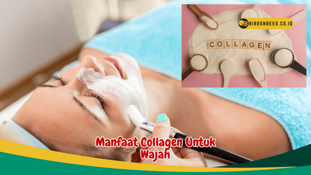 Manfaat Collagen Untuk Wajah Manfaat Collagen Untuk Wajah