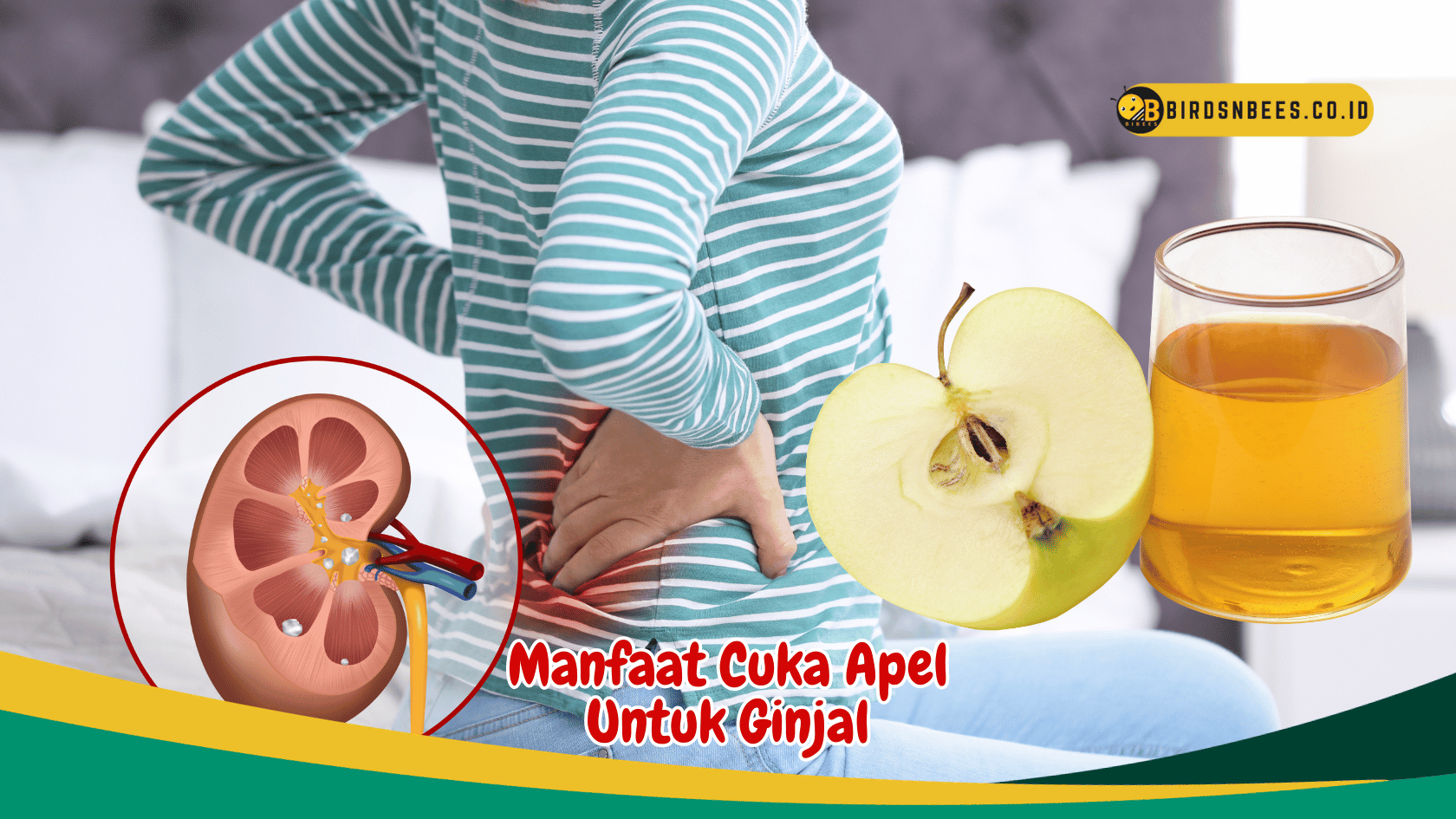 Mengurangi risiko batu ginjal, Panduan Lengkap Manfaat Cuka Apel untuk Kesehatan Ginjal Anda
