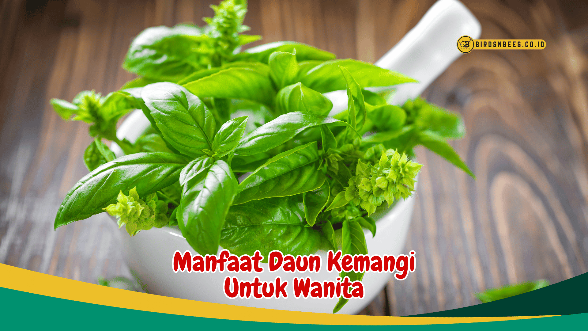 Ketahui Manfaat Daun Kemangi untuk Kesehatan Wanita yang Wajib Kamu Ketahui Ketahui Manfaat Daun Kemangi untuk Kesehatan Wanita yang Wajib Kamu Ketahui