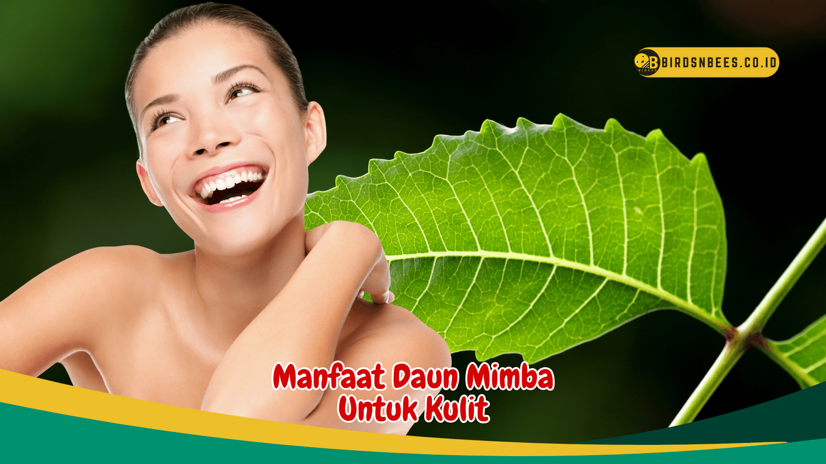 Temukan Khasiat Ajaib Daun Mimba untuk Kulit Sehat Anda Temukan Khasiat Ajaib Daun Mimba untuk Kulit Sehat Anda
