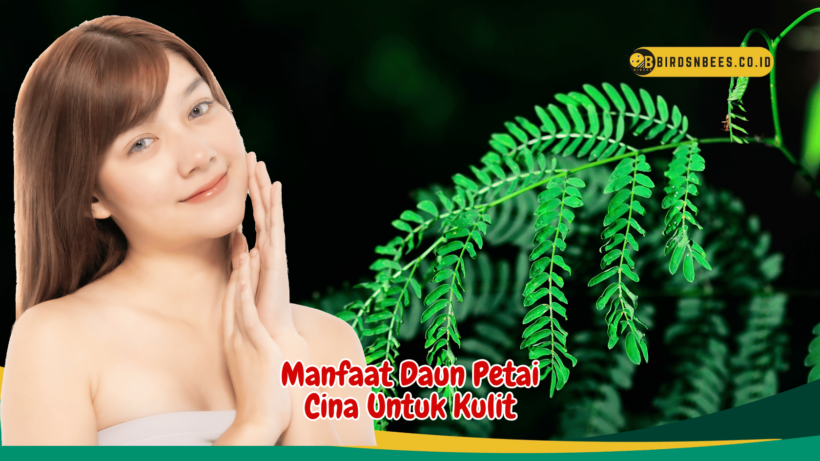 4 Manfaat Daun Petai Cina Untuk Kulit Sehat dan Bercahaya 4 Manfaat Daun Petai Cina Untuk Kulit Sehat dan Bercahaya