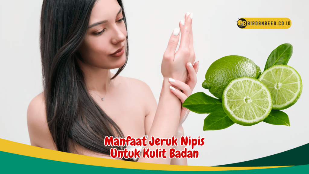 Manfaat Jeruk Nipis Untuk Kulit Badan Manfaat Jeruk Nipis Untuk Kulit Badan