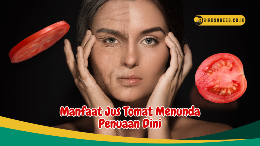 Manfaat Jus Tomat Menunda Penuaan Dini Manfaat Jus Tomat Menunda Penuaan Dini
