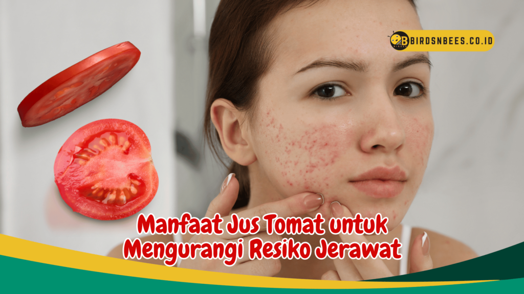 Manfaat Jus Tomat untuk Mengurangi Resiko Jerawat Manfaat Jus Tomat untuk Mengurangi Resiko Jerawat