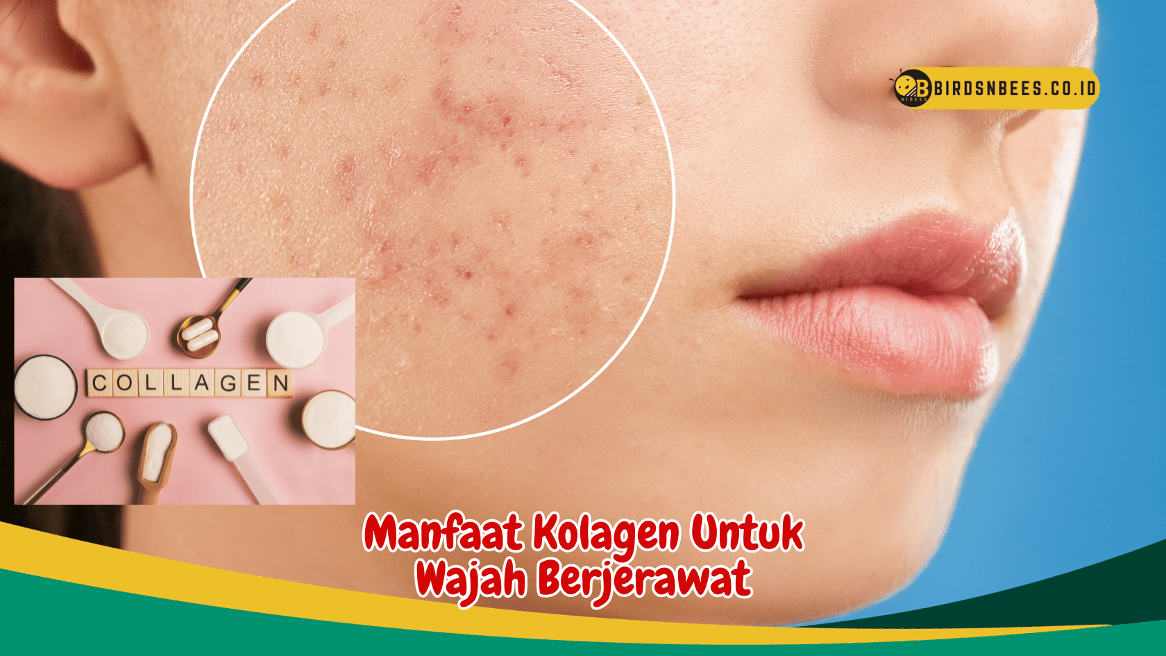 Manfaat Ajaib Kolagen untuk Menyembuhkan Jerawat dan Merawat Kulit Wajah Manfaat Ajaib Kolagen untuk Menyembuhkan Jerawat dan Merawat Kulit Wajah