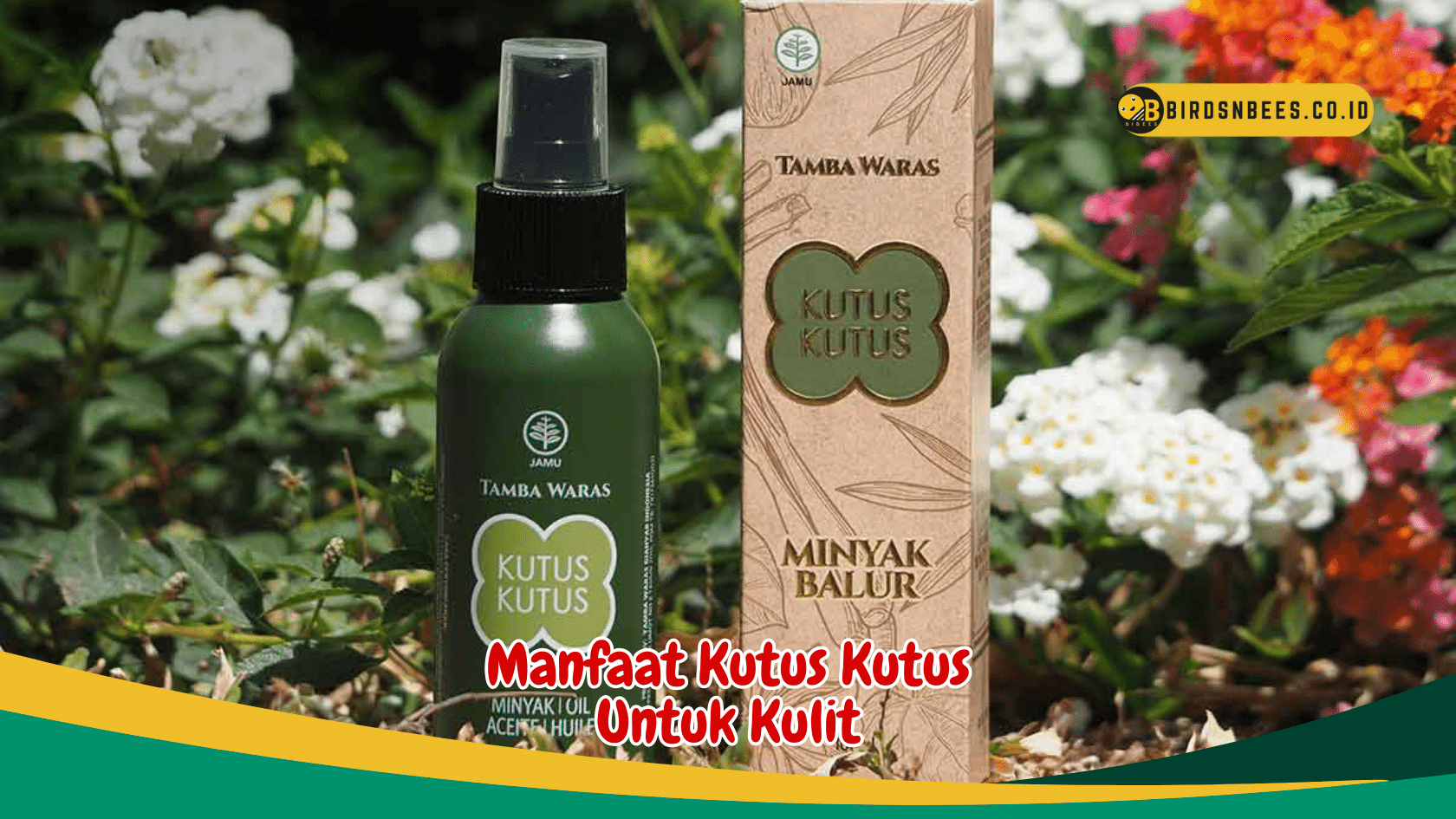 Manfaat Menakjubkan Kutus Kutus untuk Kulit Cantik Bercahaya Manfaat Menakjubkan Kutus Kutus untuk Kulit Cantik Bercahaya