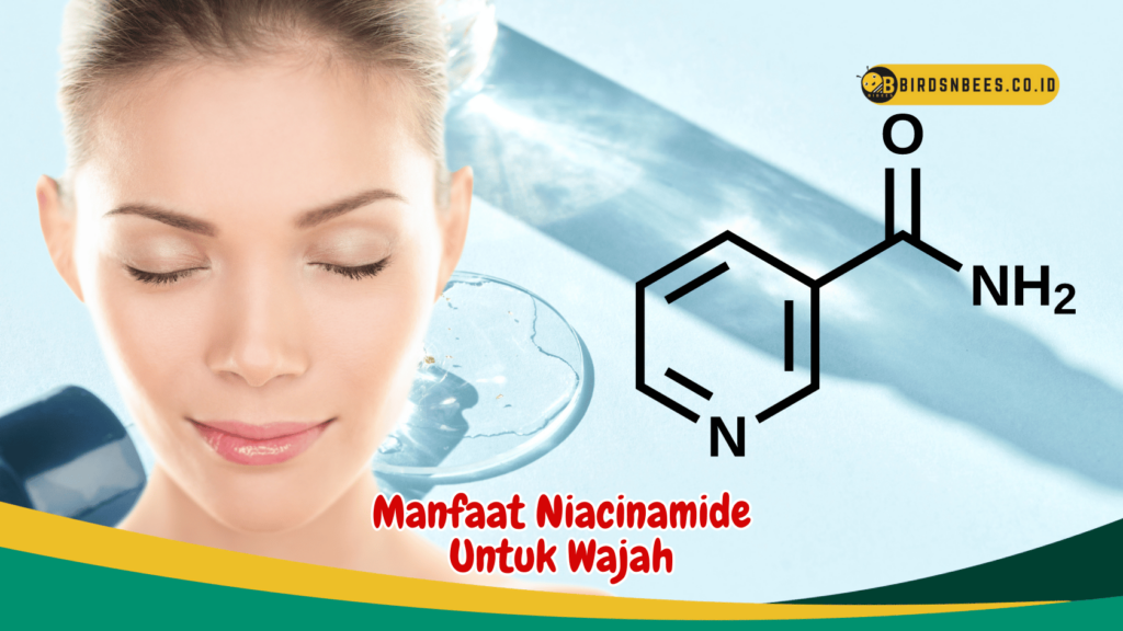Manfaat Niacinamide Untuk Wajah
