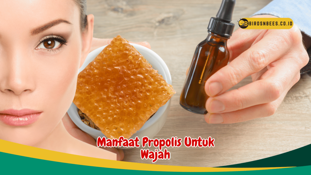 Manfaat Propolis Untuk Wajah Manfaat Propolis Untuk Wajah