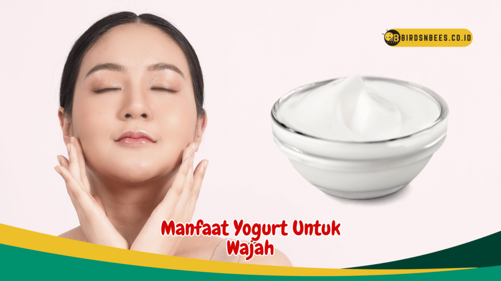 Manfaat Yogurt Untuk Wajah Manfaat Yogurt Untuk Wajah
