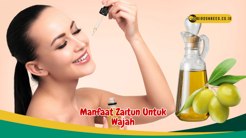 Manfaat Zaitun Untuk Wajah Manfaat Zaitun Untuk Wajah