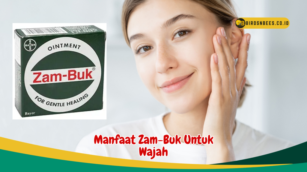 Manfaat Zam-Buk Untuk Wajah Manfaat Zam-Buk Untuk Wajah