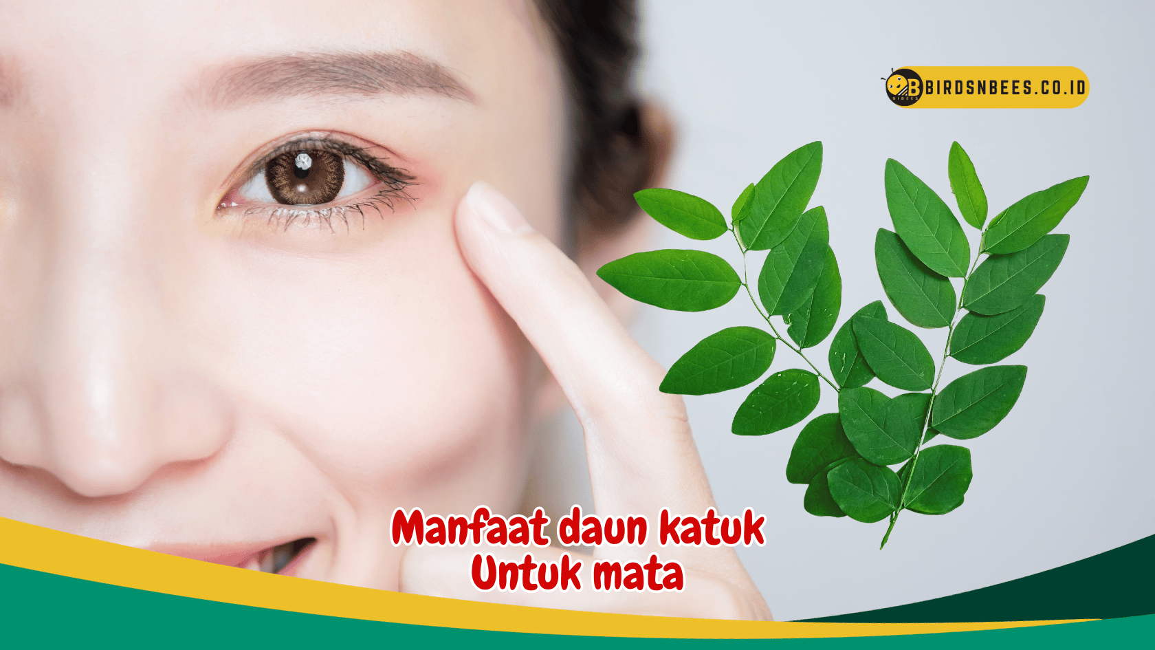 Memperkuat jaringan mata, Ungkap Rahasia Daun Katuk untuk Kesehatan Mata