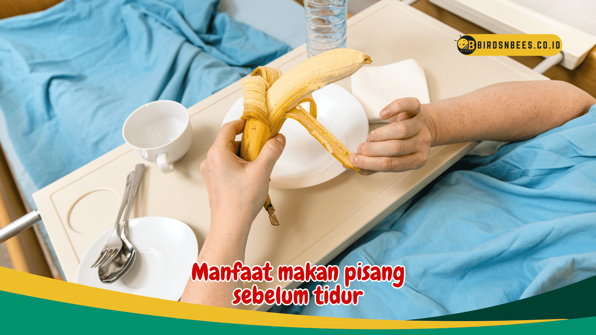 Manfaat makan pisang sebelum tidur, Ketahui alasan kenapa pisang bisa memperlancar pencernaanmu Manfaat makan pisang sebelum tidur, Ketahui alasan kenapa pisang bisa memperlancar pencernaanmu
