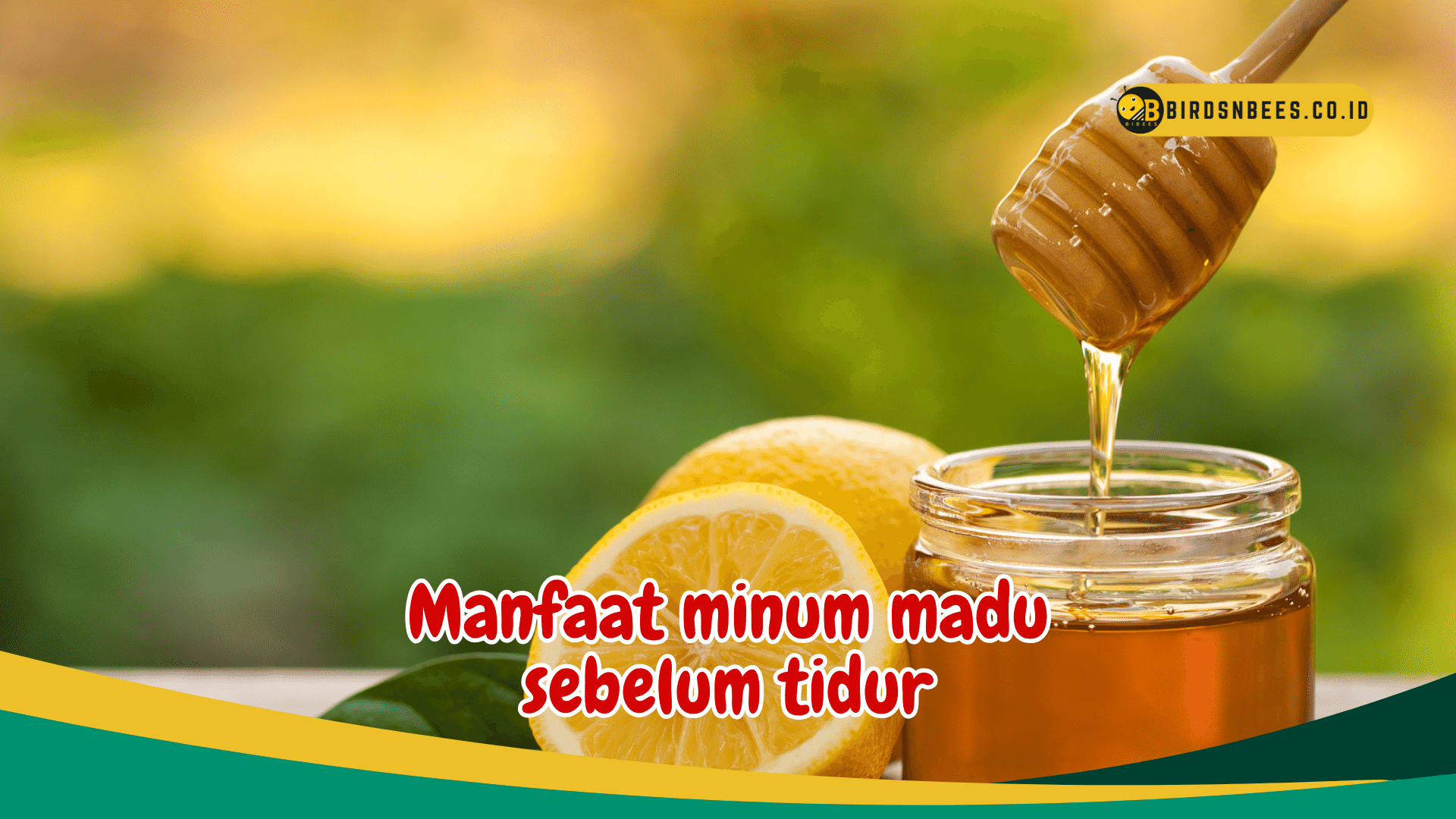 Ketahui Manfaat minum madu sebelum tidur untuk membantu regenerasi sel dalam tubuh Ketahui Manfaat minum madu sebelum tidur untuk membantu regenerasi sel dalam tubuh