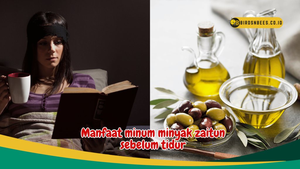 Manfaat minum minyak zaitun sebelum tidur