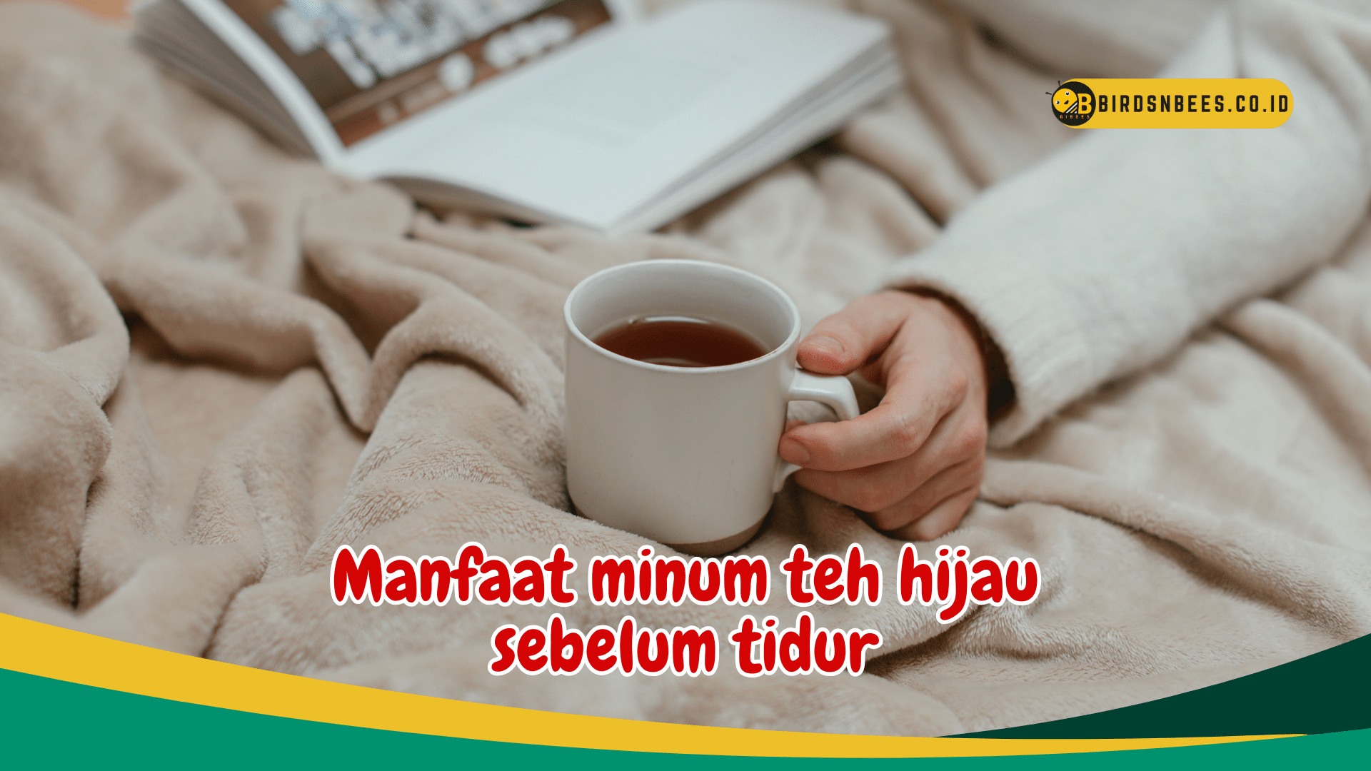Manfaat minum teh hijau sebelum tidur mempercepat metabolisme tubuh Manfaat minum teh hijau sebelum tidur mempercepat metabolisme tubuh