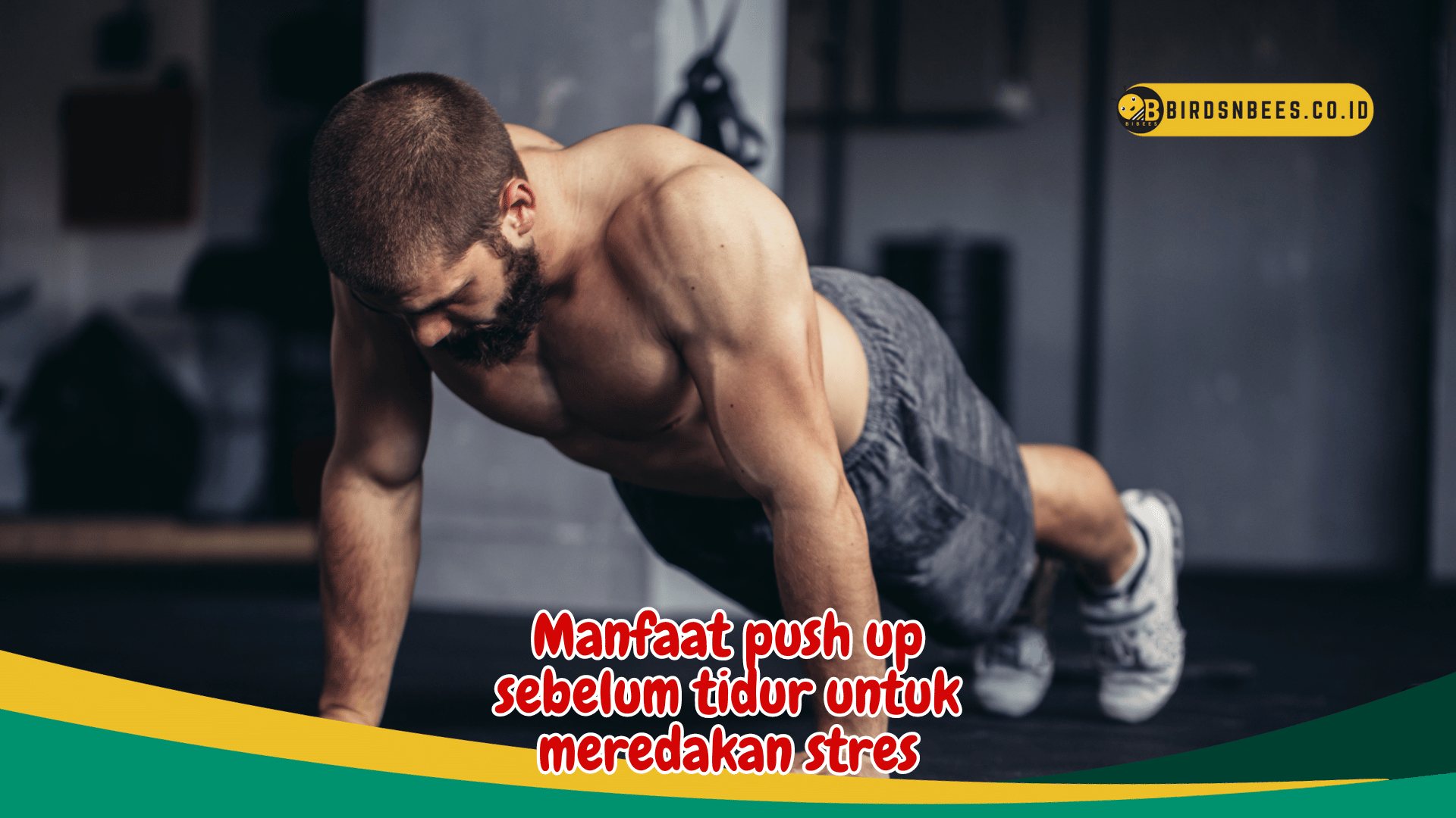 Manfaat push up sebelum tidur untuk meredakan stres Manfaat push up sebelum tidur untuk meredakan stres