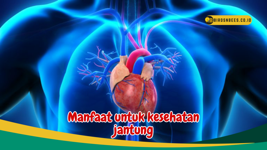 Manfaat untuk kesehatan jantung Manfaat untuk kesehatan jantung