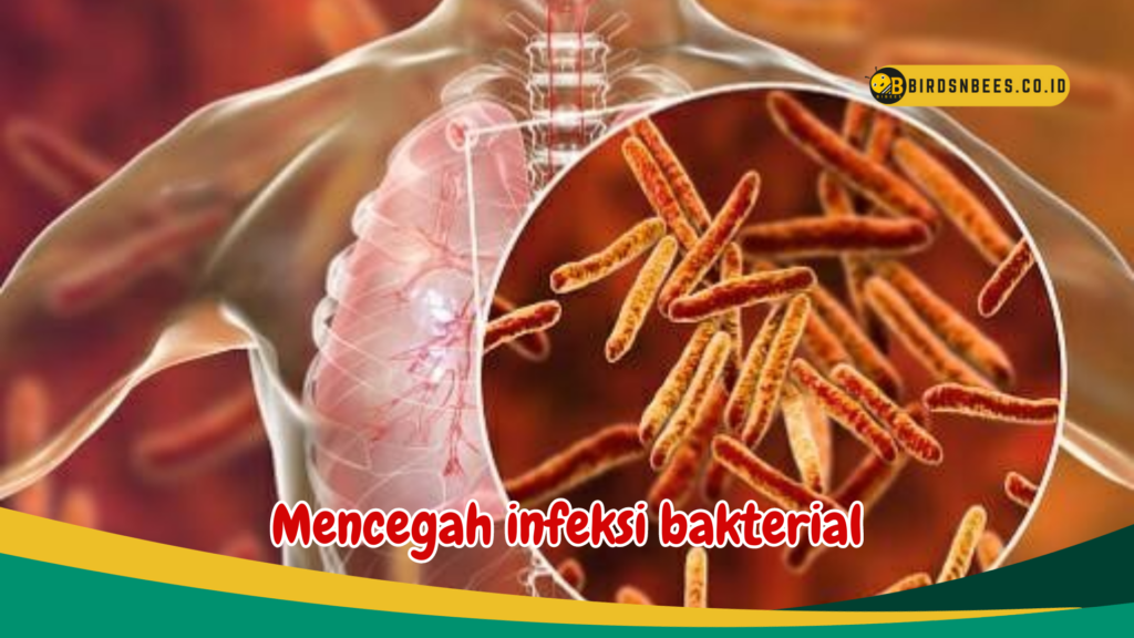 Mencegah infeksi bakterial Mencegah infeksi bakterial