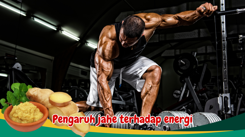 Pengaruh jahe terhadap energi Pengaruh jahe terhadap energi