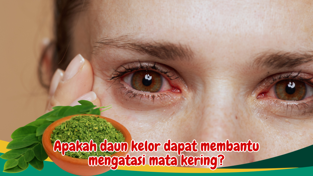 Apakah daun kelor dapat membantu mengatasi mata kering?