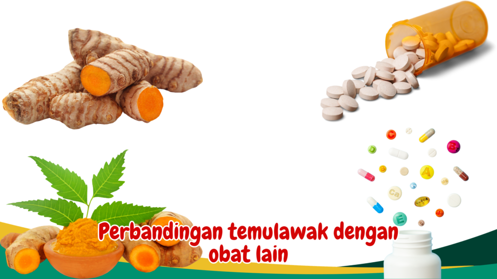 Tak Hanya Tingkatkan Kesehatan Pernapasan, Temukan Manfaat Luar Biasa Temulawak untuk Paru-paru Anda - birds n bees
