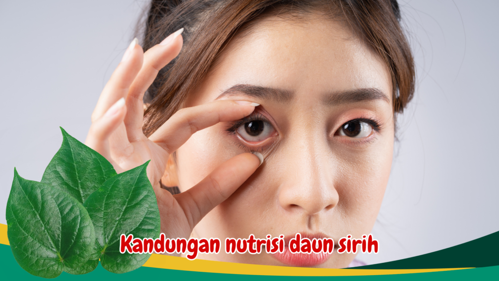 Kandungan nutrisi daun sirih Kandungan nutrisi daun sirih