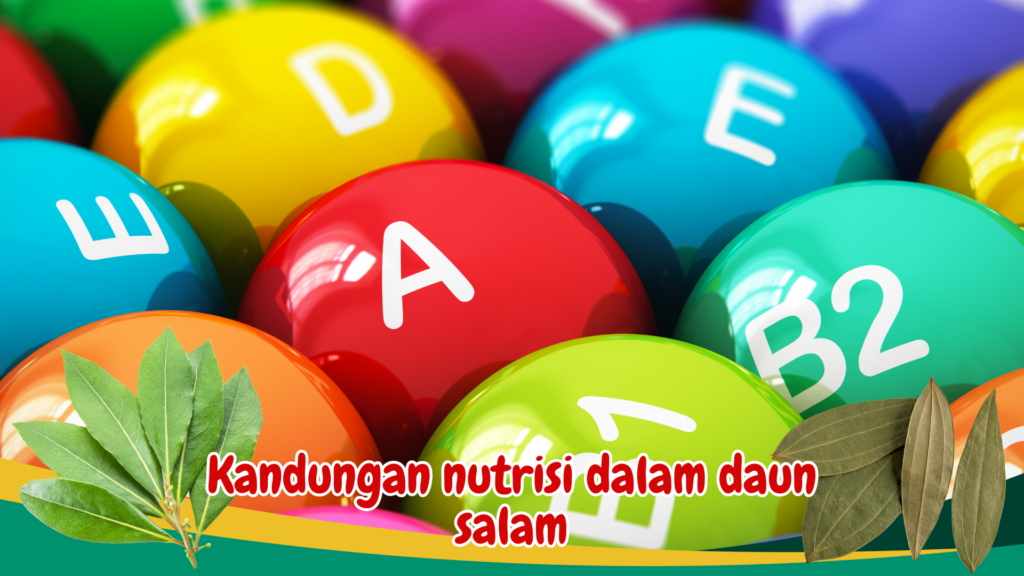 Kandungan nutrisi dalam daun salam Kandungan nutrisi dalam daun salam