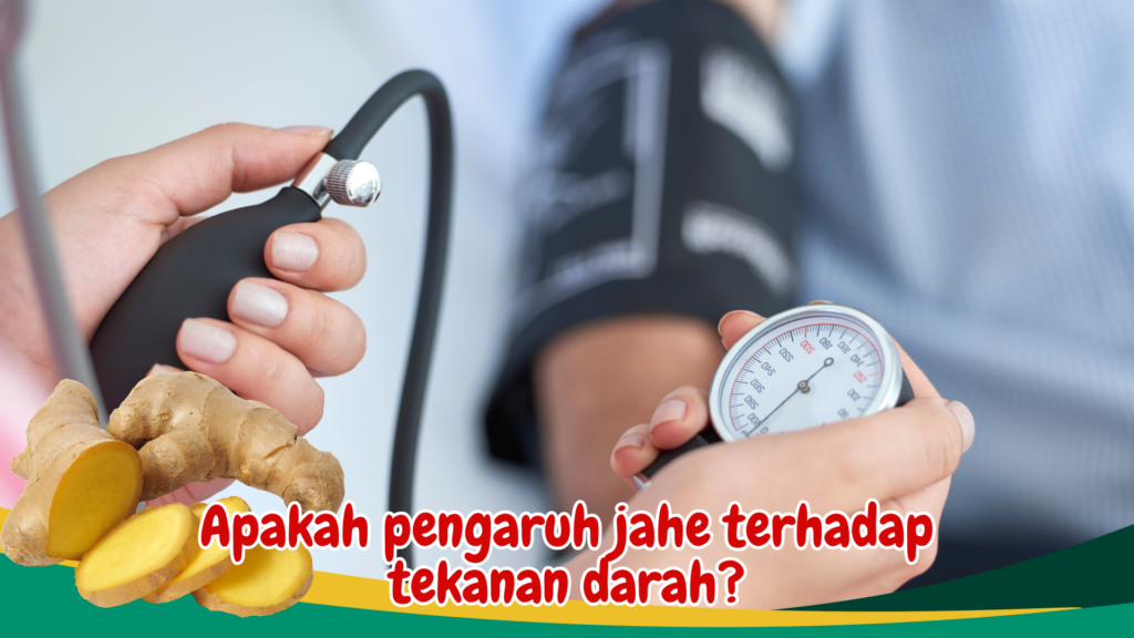 Apakah pengaruh jahe terhadap tekanan darah? Apakah pengaruh jahe terhadap tekanan darah?