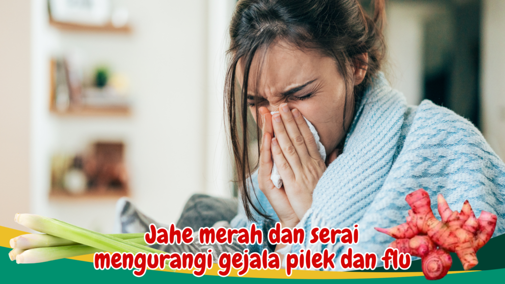 Jahe merah dan serai mengurangi gejala pilek dan flu Jahe merah dan serai mengurangi gejala pilek dan flu
