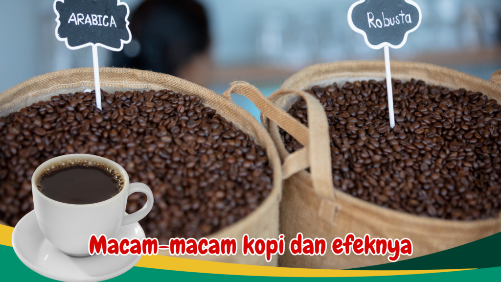 Macam-macam kopi dan efeknya Macam-macam kopi dan efeknya