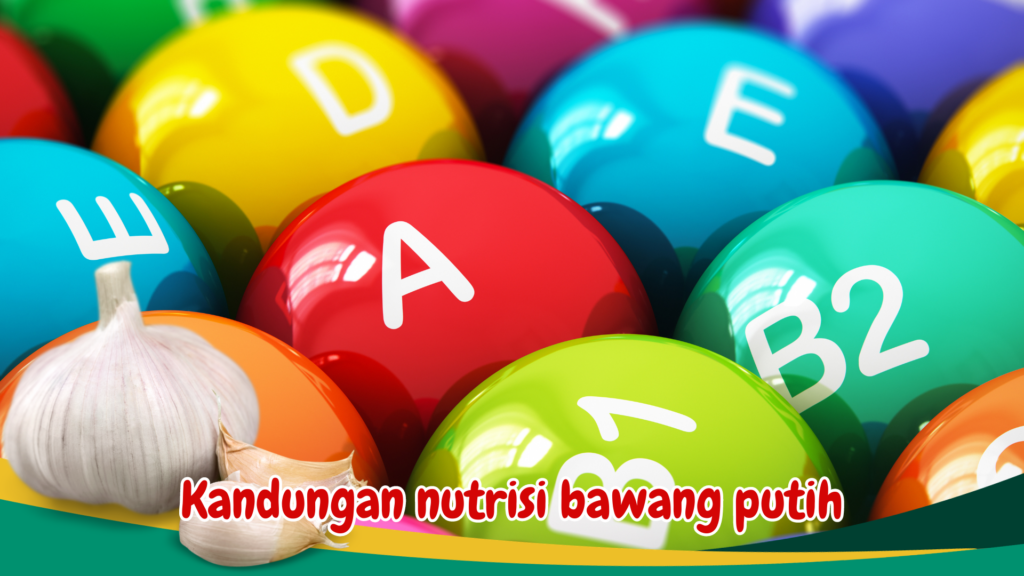 Kandungan nutrisi bawang putih Kandungan nutrisi bawang putih