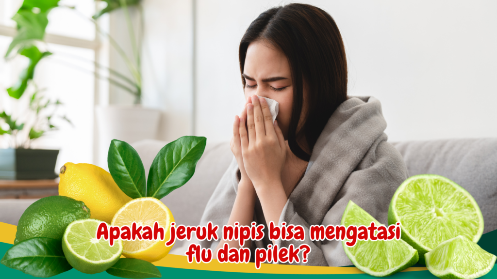 Apakah jeruk nipis bisa mengatasi flu dan pilek?