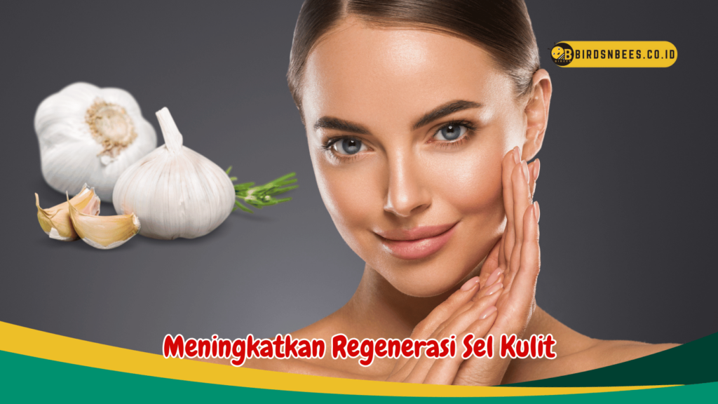 Meningkatkan Regenerasi Sel Kulit Meningkatkan Regenerasi Sel Kulit