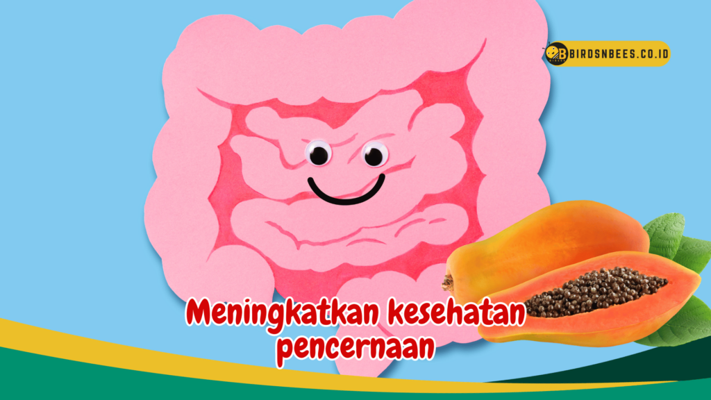 Meningkatkan kesehatan pencernaan
