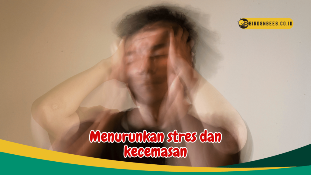 Menurunkan stres dan kecemasan
