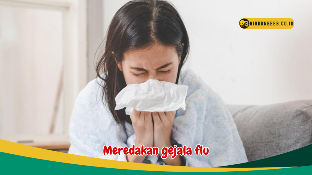 Meredakan gejala flu Meredakan gejala flu