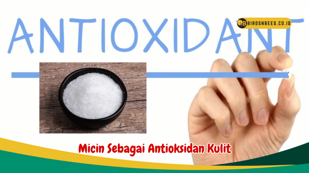 Micin Sebagai Antioksidan Kulit