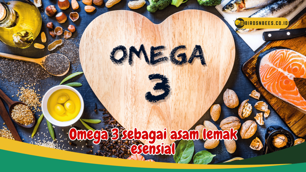 Omega 3 sebagai asam lemak esensial