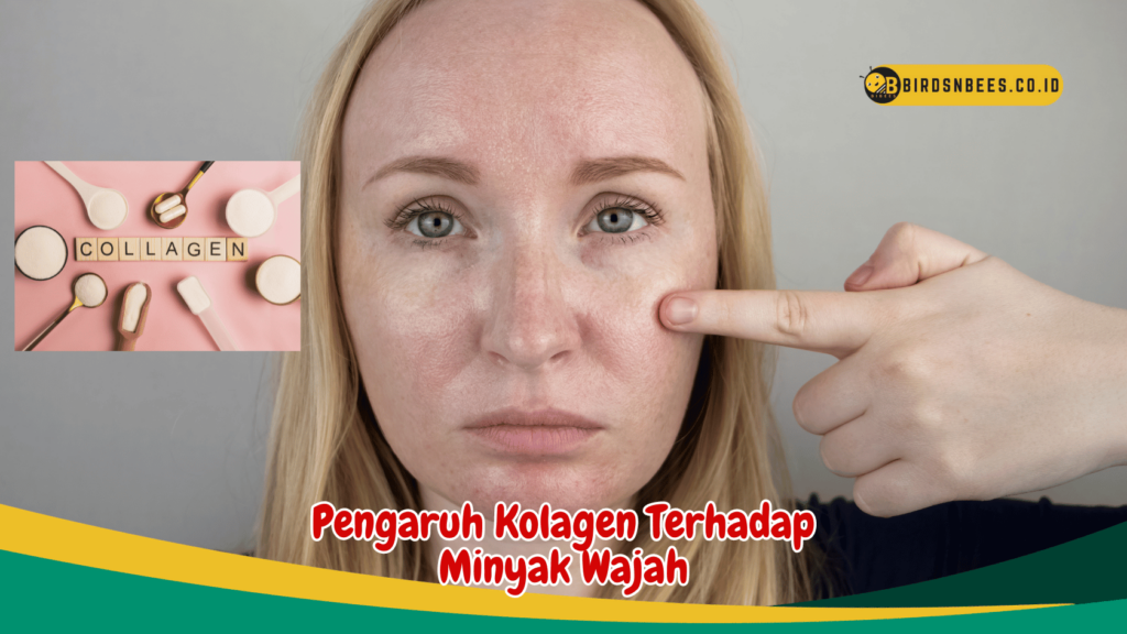 Pengaruh Kolagen Terhadap Minyak Wajah Pengaruh Kolagen Terhadap Minyak Wajah