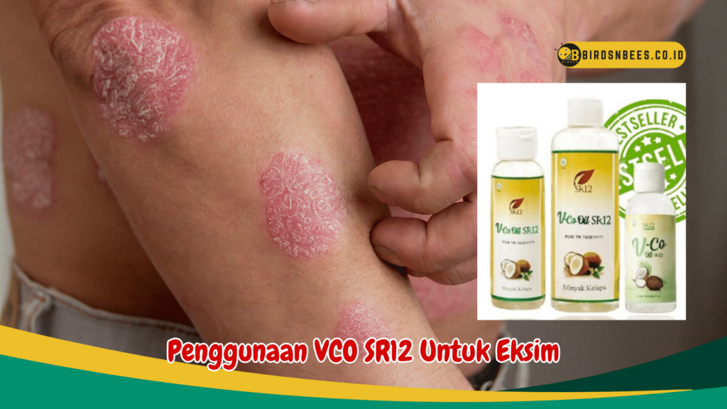 VCO SR12 Untuk Eksim VCO SR12 Untuk Eksim