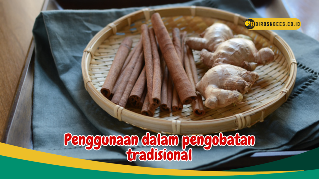 Penggunaan dalam pengobatan tradisional Penggunaan dalam pengobatan tradisional