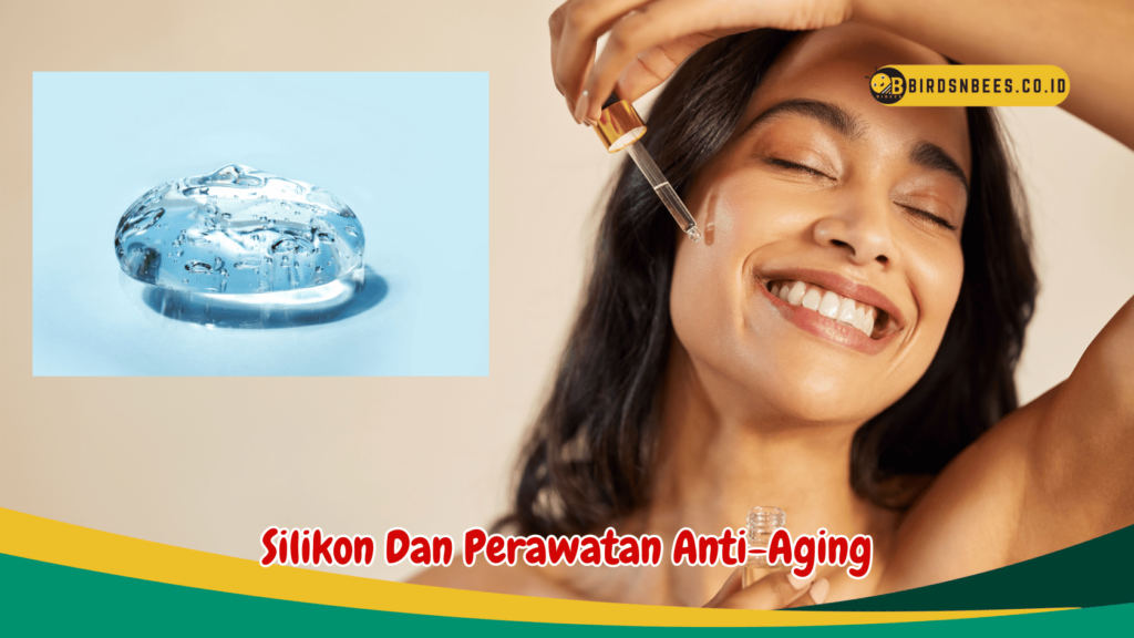 Silikon Dan Perawatan Anti-Aging Silikon Dan Perawatan Anti-Aging