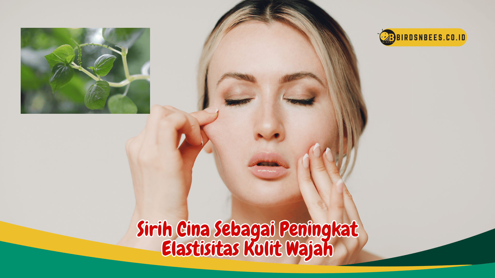 Manfaat Luar Biasa Daun Sirih Cina bagi Kecantikan Wajah Anda Manfaat Luar Biasa Daun Sirih Cina bagi Kecantikan Wajah Anda