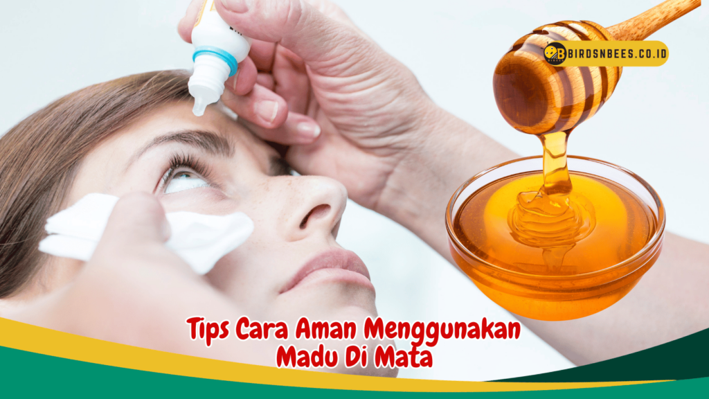 Tips Cara Aman Menggunakan Madu Di Mata Tips Cara Aman Menggunakan Madu Di Mata