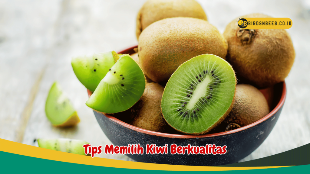Tips Memilih Kiwi Berkualitas Tips Memilih Kiwi Berkualitas